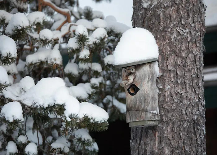 Stena & Äkäslompolo