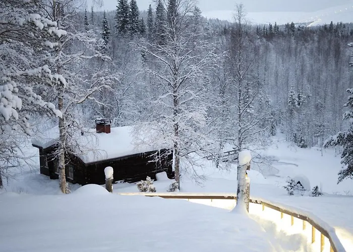 シャレー Stena & *