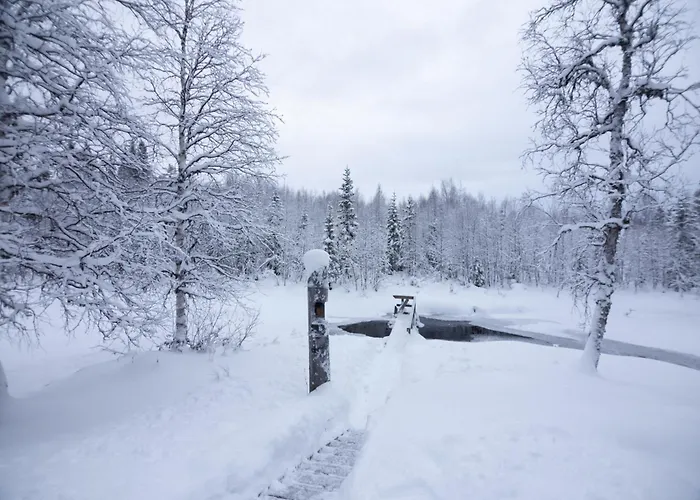 シャレー Stena & *