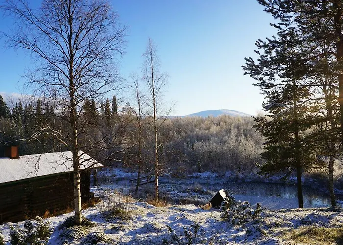 シャレー Stena & *